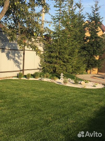 Рулонный газон ландшафтный дизайн посадка растений