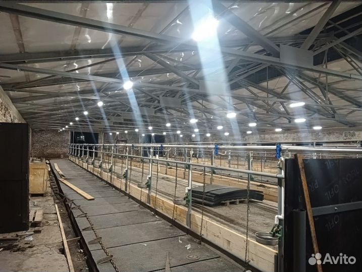 Автоматическое светодиодное освещение коровников