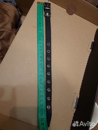 Одежда для собак