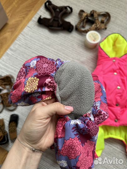 Зимний и демисезонный комбинезон для собак