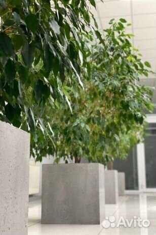 Вaзоны уличные и кашпо из архитектурного бетона