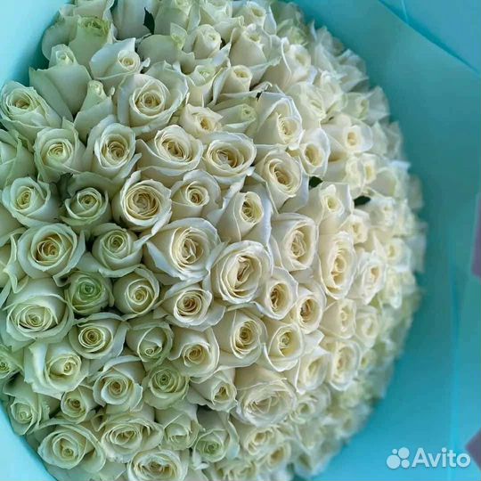 Роза 31,51,101,151,201,251, букет из роз