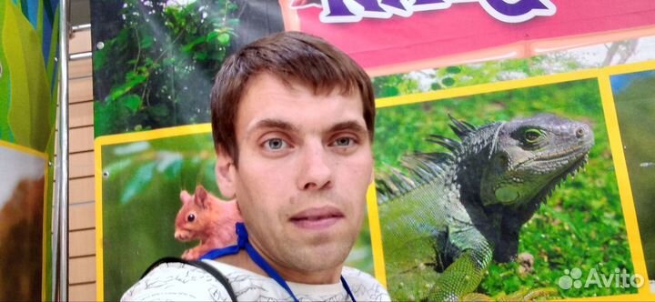 Маркетолог,Экспедитор