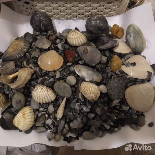 Декор, аквариум, грунт