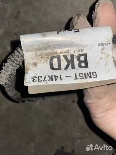 Проводка Ford Focus CB4 shda 2008