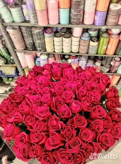 Розы Высокие 150см 160см 170см 180см 190см 2м