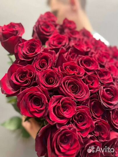 Премиальная высокая роза Голландия. Букеты роз