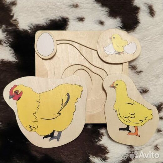 Набор монтессори процесс роста и развития