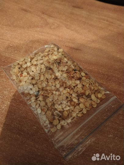 Семена различных овощных культур