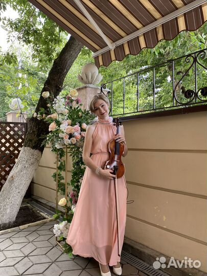 Живая музыка скрипка электроскрипка на мероприятие