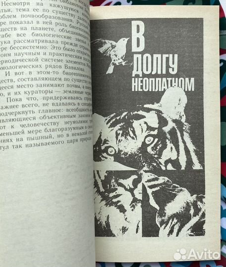 «Братья меньшие» вчера и сегодня / Краснопевцев