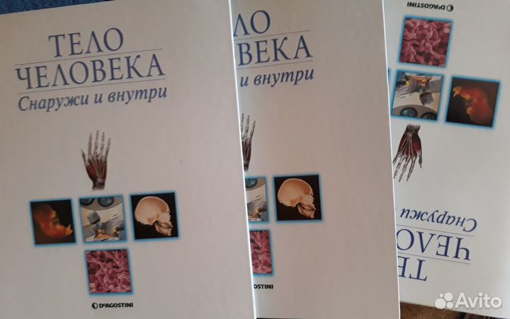 Коллекции познавательных журналов