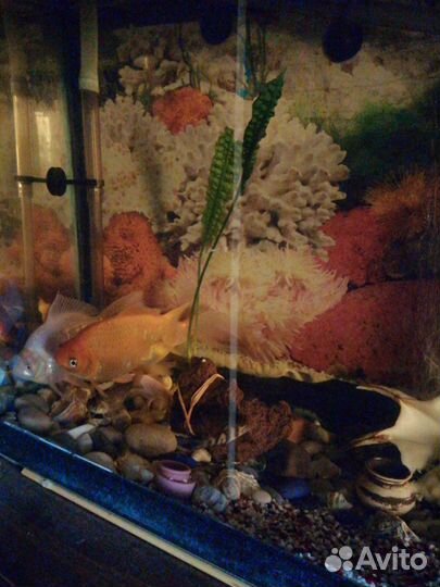 Аквариум с тумбой 120 литров