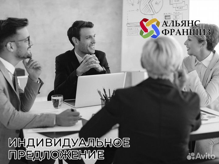 Профессиональное руководство от Альянса Франшиз