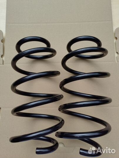 Пружины передние Passat B6