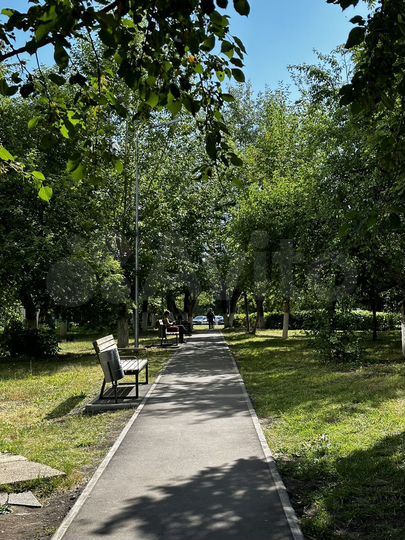 Комната 19,6 м² в 3-к., 6/9 эт.