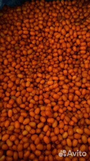 Облепиха отборная крупная шоковая заморозка