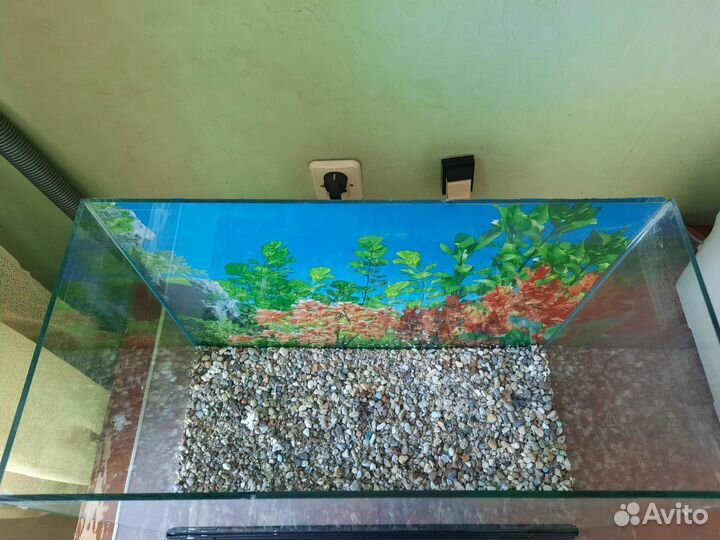 Аквариум