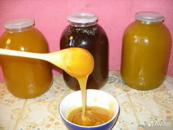 Мед оптом / разнотравье светлое