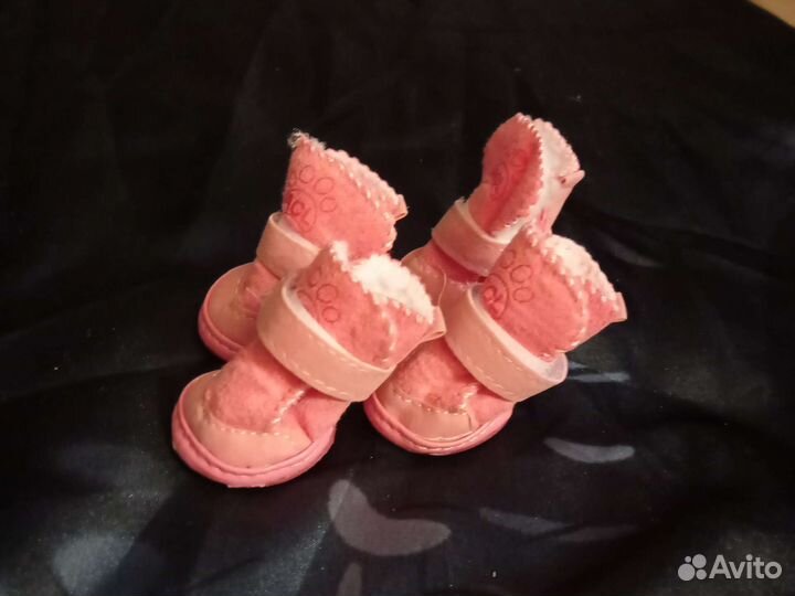 Обувь для маленькой собачки