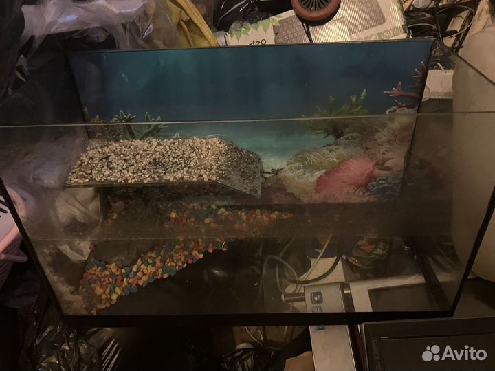 Черепаха с аквариумом