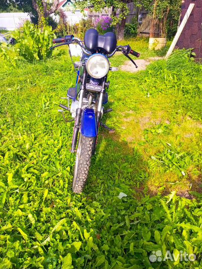 Продам Альфа Racer