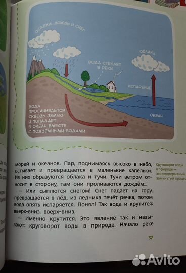 Энциклопедии Чевостика