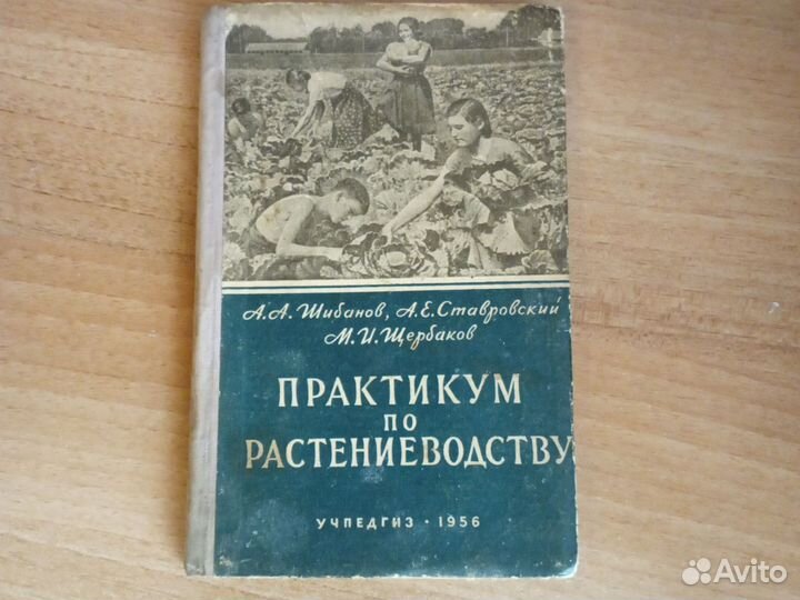 Практикум по растениеводству