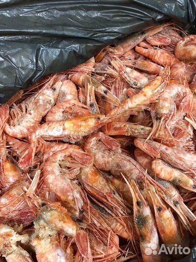 Креветка Ботан