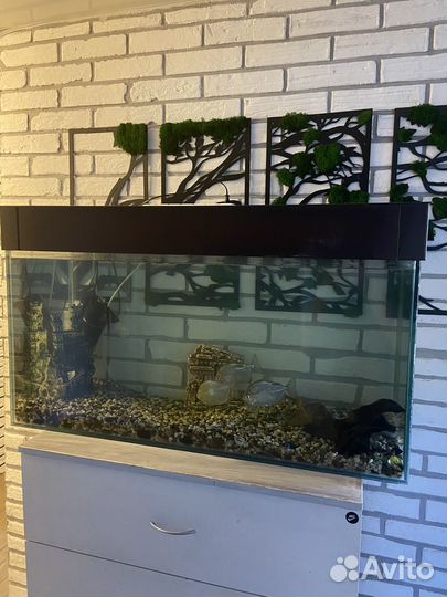 Аквариум с рыбками бу