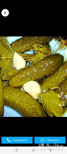 Огурцы соленые без уксуса 3 и 2 литровые банки