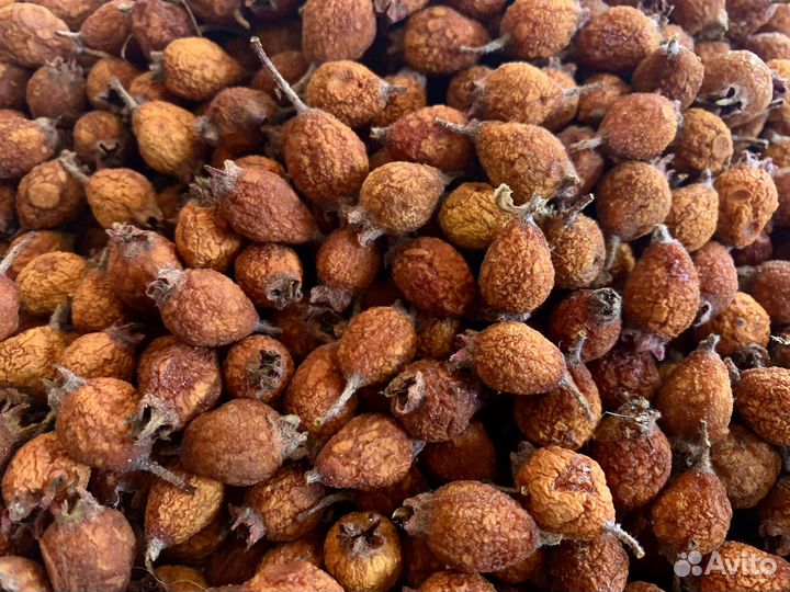 Саженцы Боярышника, лимонника