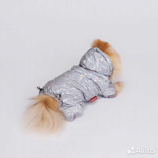 Одежда для собак мини пород xs