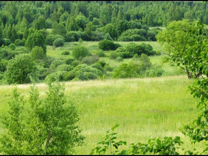 Участок 8,3 га (СНТ, ДНП)