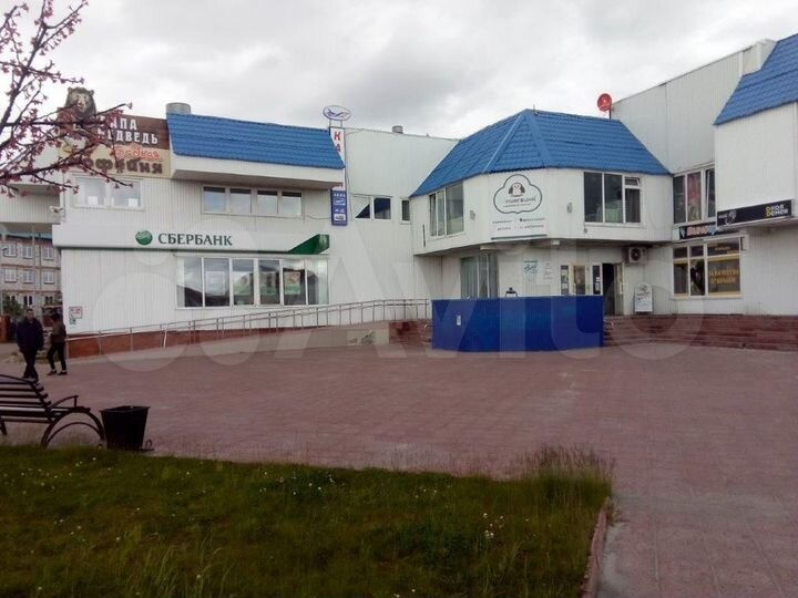 Нежилое помещение 246,3 м²
