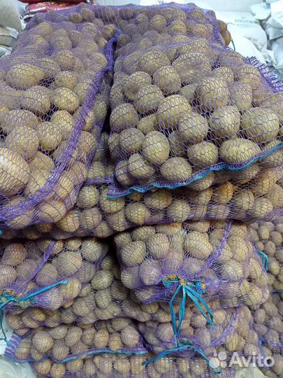 Картофель