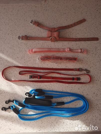 Ошейники, шлейки, поводки, чесалки для собаки