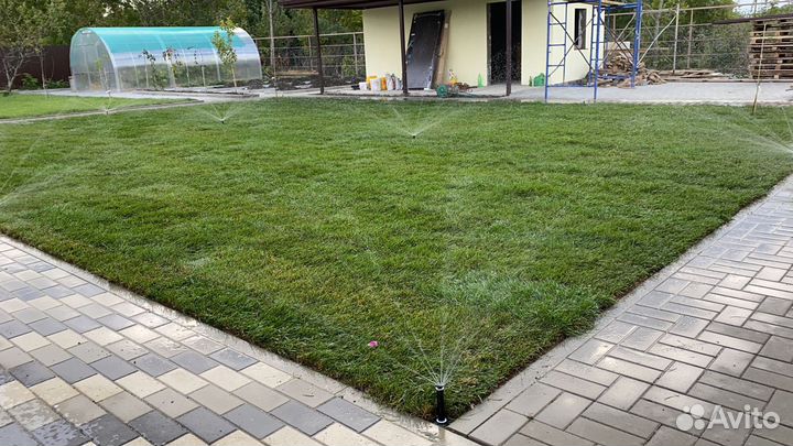 Автополив газона