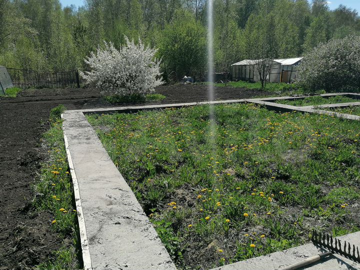 Участок 8 сот. (СНТ, ДНП)