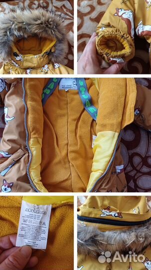 Курточка и ветровка, костюм, комбинезон