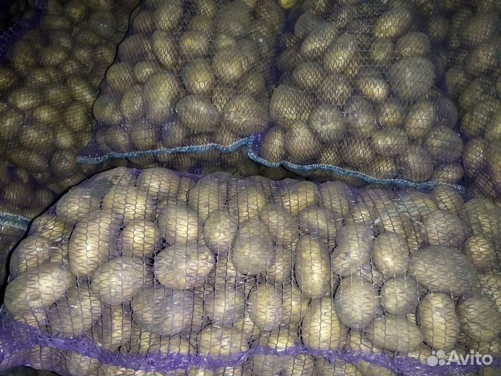 Продам картофель с доставкой