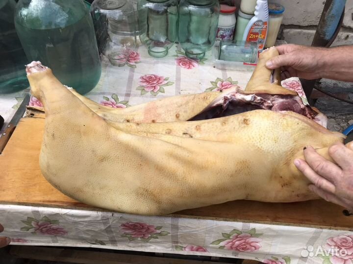 Мясо свинина домашняя