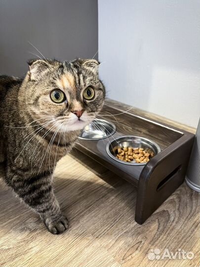 Подставка с мисками для животных из дерева