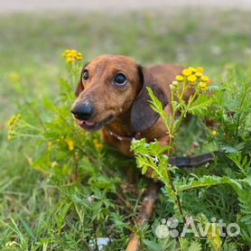 Домашние костюмы для женщин