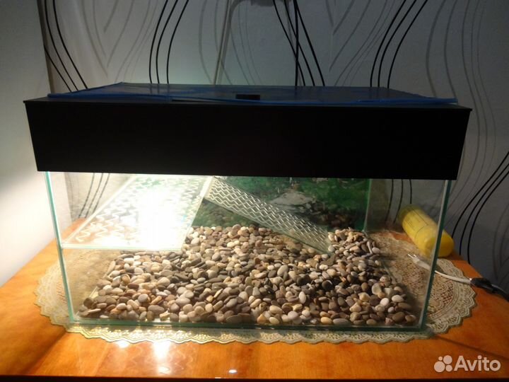 Акватеррариум