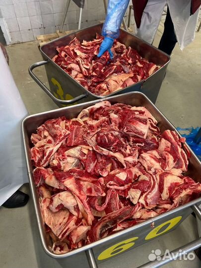 Мясо говядина котлетное 80/20, крупный опт