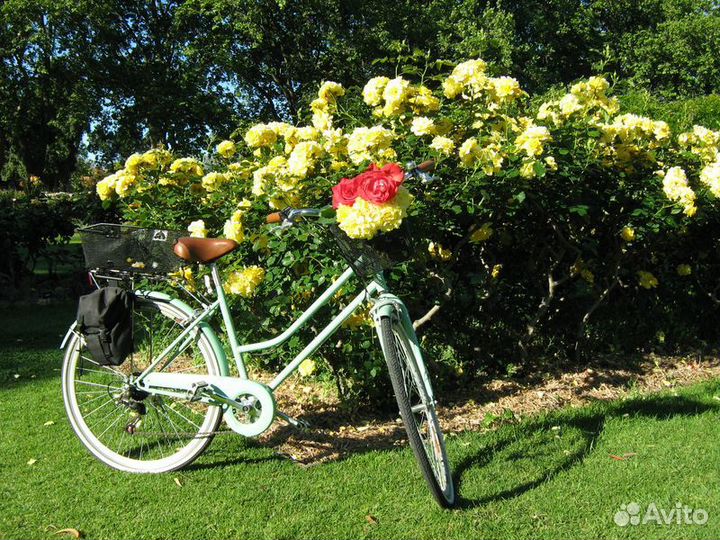 Экскурсия — Аделаида — Знакомство С Аделаидой