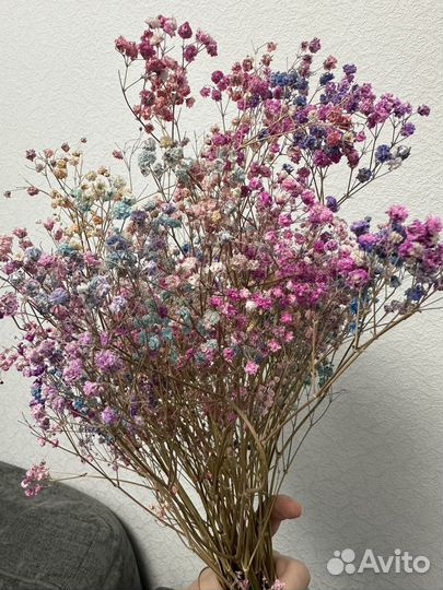 Гипсофила сухоцветы