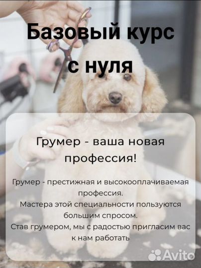 Груминг обучение