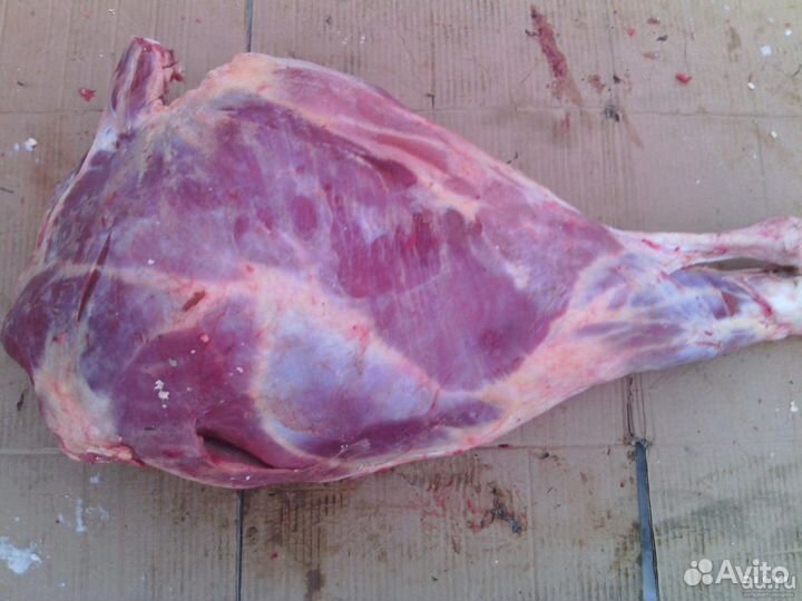 Мясо телятины